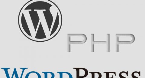 WordPress文本小工具中运行PHP代码